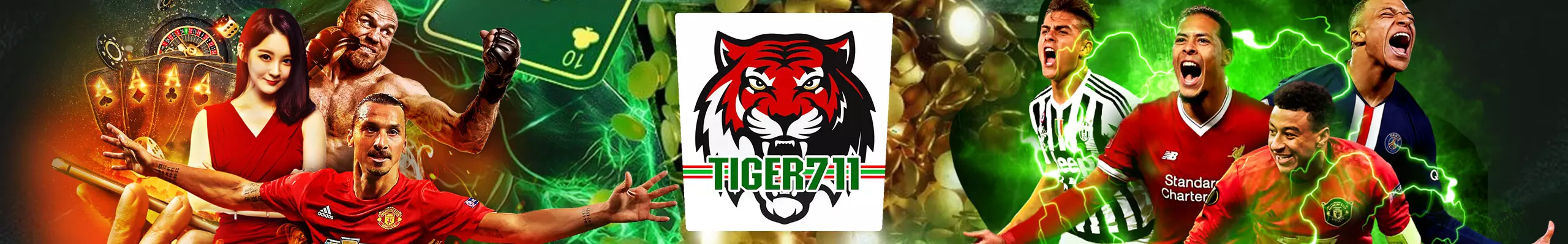 TIGER711
