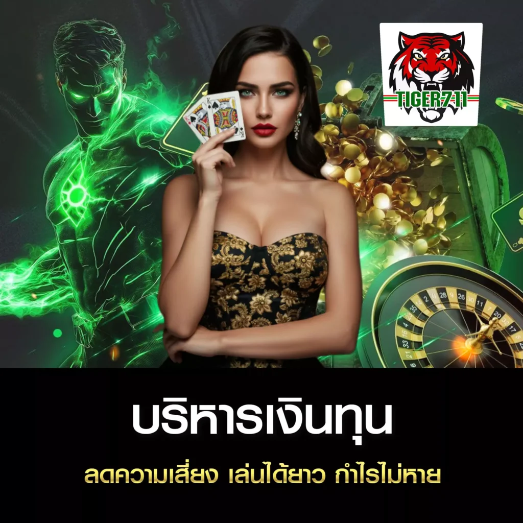 บริหารเงินทุน TIGER711