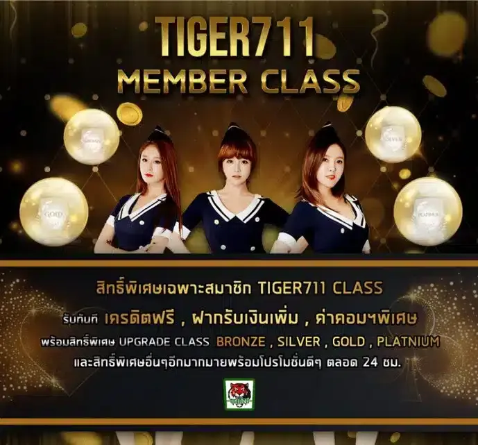 TIGER711