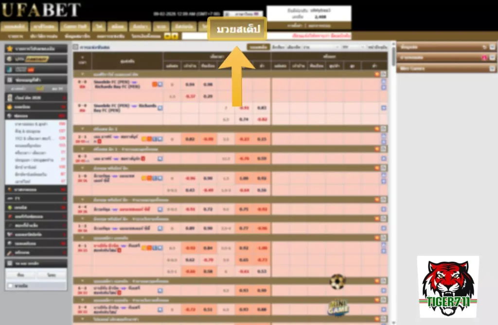 แทงมวยออนไลน์ TIGER711